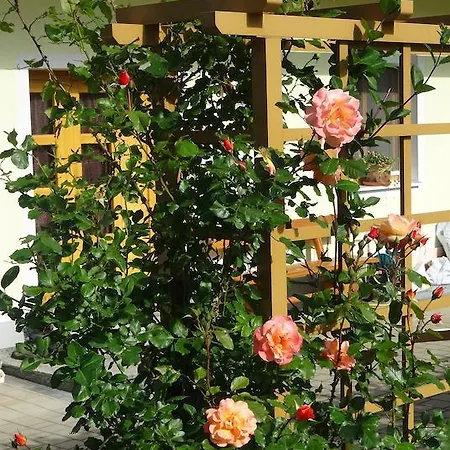 Pension Scherwirt 3*